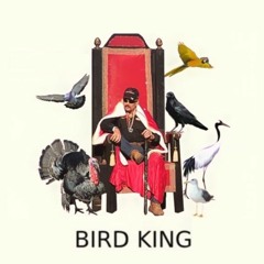 Mashup Mix 2: Bird King