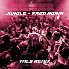Fred Again - Jungle (TMLS Remix)