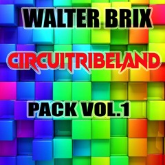 WALTER BRIX - CIRCUITRIBELAND PACK 24 ''BUY PAYPAL''