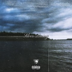 silver lining x ograbbitwalker