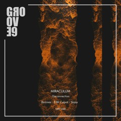 Miraculum - Disconnection (SAJAY Remix)