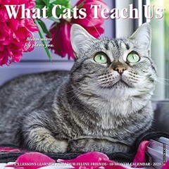 🎂[PDF Online] [Download] What Cats Teach Us 2023 Wall Calendar 🎂