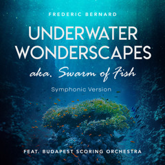 Underwater Wonderscapes Aka. Swarm of Fish (Symphonic Version) [feat. Budapest Scoring Orchestra]