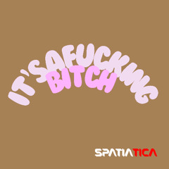 it's a fucking bitch (Original Mix)