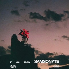 If You Knew - Samsonyte