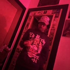 parakeet prod stummy and schema222