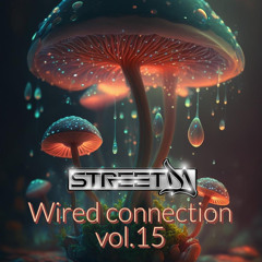Wired Connection Vol.15