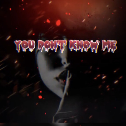 YOU DONT KNOW ME (demo) - NVD remix