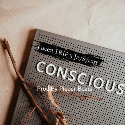 Conscious - Luced TRIP x Jay Syrup (Prod.by: PieperBeats) REMASTERED