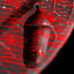 Cocoon (prod. Yami's Sin)