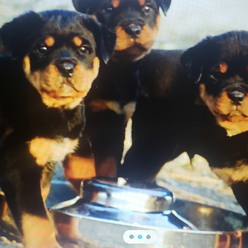 Stream Rockabye Baby- Jimmy Da Jawn Feat-Flux and Jewels Nakir / Kiza ...