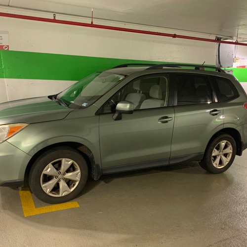 Subaru Forester (Nala Demos)