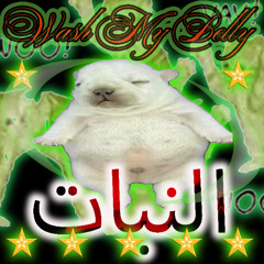 Jestem Pibbler (I Am Pibble Wash My Belly)