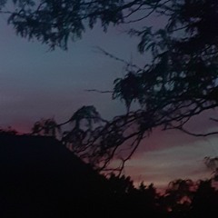 pretty sunsets and guitars - a midwest emo playlist