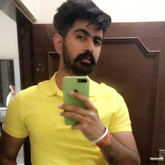 Punjabi Boys  sultaan