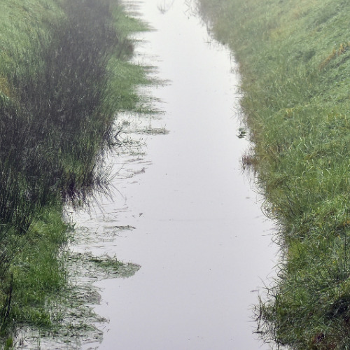 The Gutter