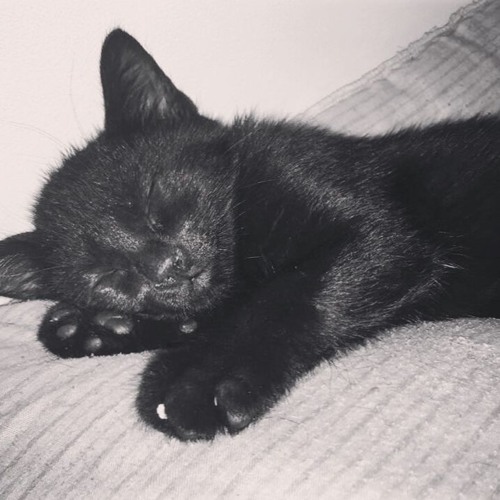 Bad Company (Mic RacerMastered Edition)