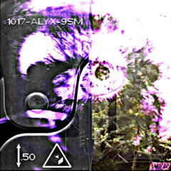 1017 as i do