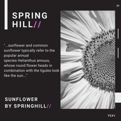 SpringHill - Sunflower