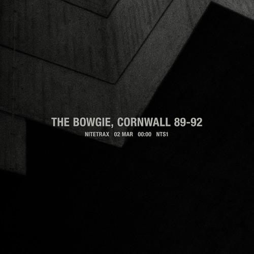 Nitetrax - The Bowgie, Cornwall 89-92 020325