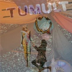 fuchsherrlichwild @ Tumult Festival 06/2024