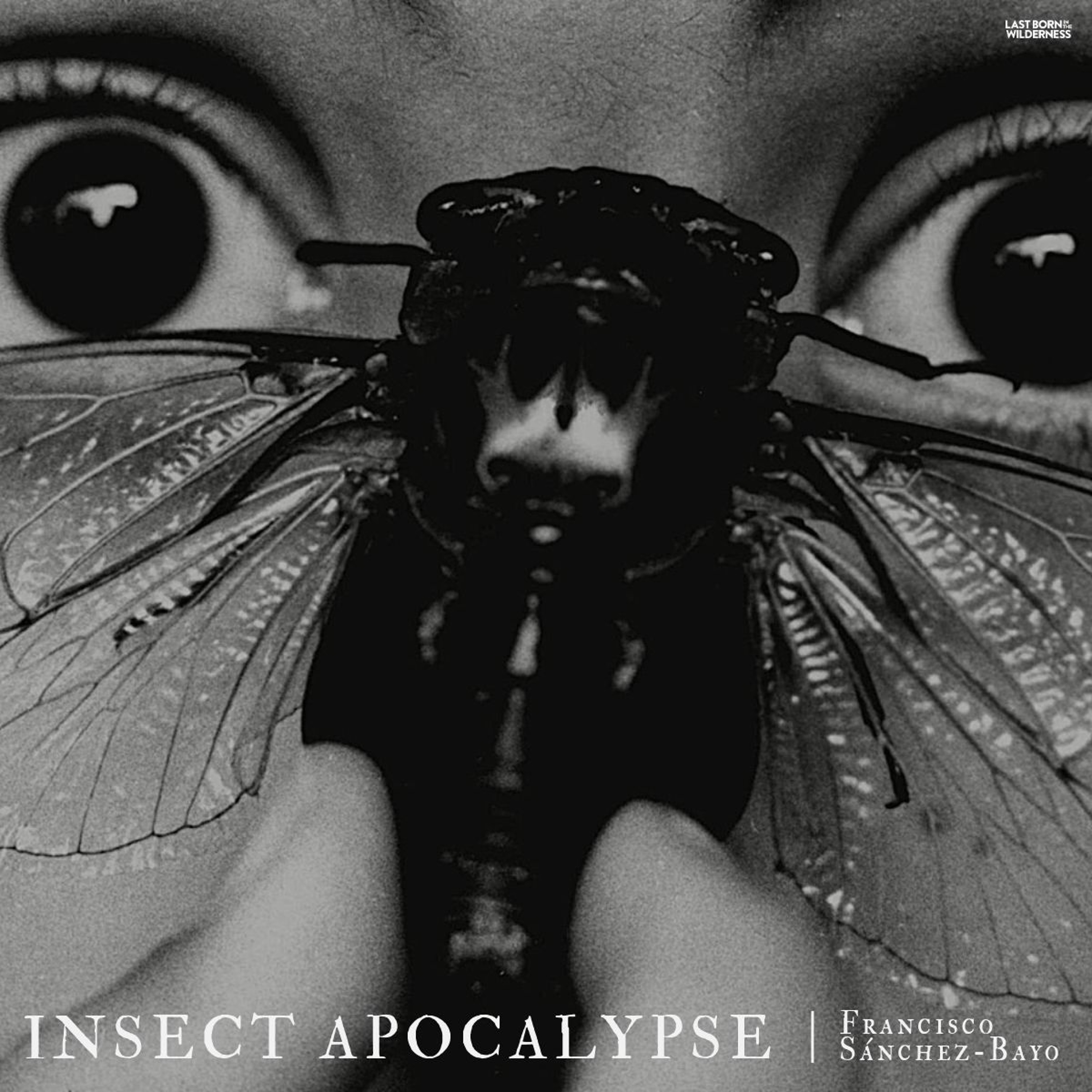 Last Born In The Wilderness