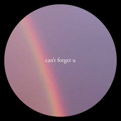 can't forget u
