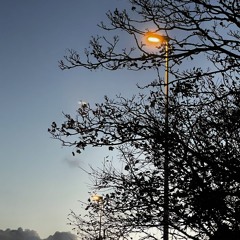 Travis Miller - KEEP GOING | HASH N STICKS EP (Official audio)