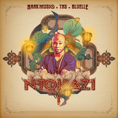Ntokazi (feat. Bluelle & TNS)