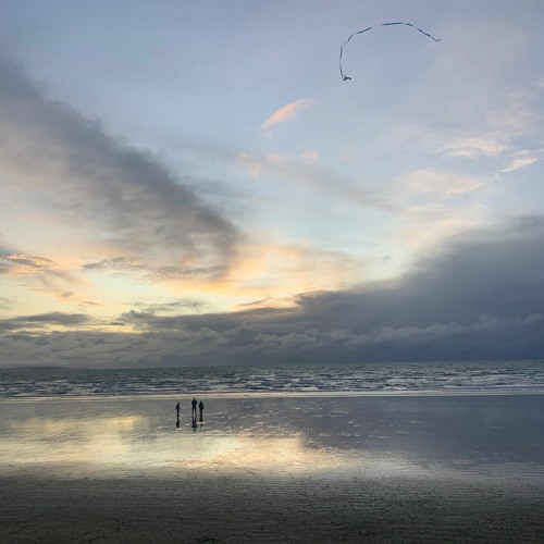 The smell of rain (naviarhaiku452)