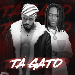 TÁ GATO FT. JUELSON MARCOS