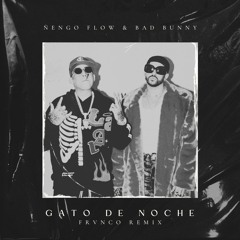 Ñengo Flow & Bad Bunny - Gato De Noche (FRVNCO Remix)