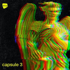 CAPSULE 3 - VA