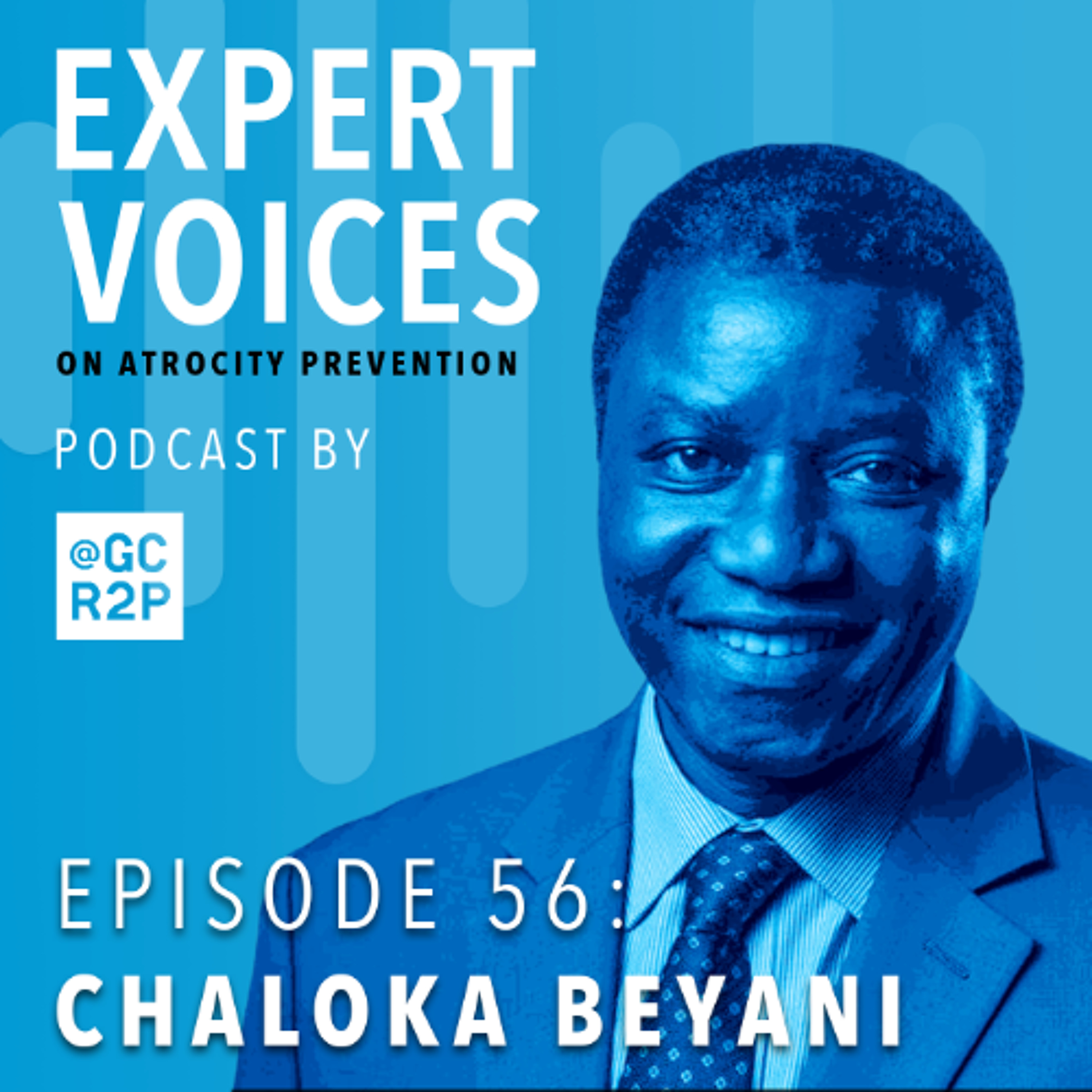 Episode 56: Chaloka Beyani episode artwork