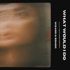 Wizard & sqmer - What Would I Do