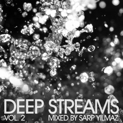 Deep Streams Vol. 2 (Continous Mix)