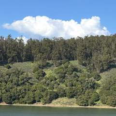 We knew this day would come (ft. Paul Shapiro)