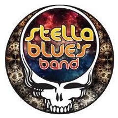 Stella Blues Band, tallman's poolside Sparkill nj August 31st, 2024