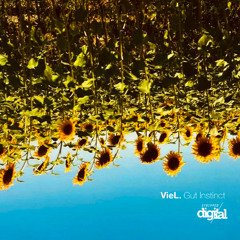 PREMIERE: VieL - Gut Instinct (Original Mix) | Stripped Digital