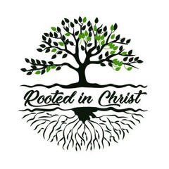 Mark 4:16-17 July 2024 Uprooted