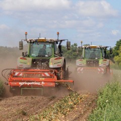 hontige zomer terug mix#10