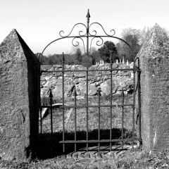 Gate Study #9