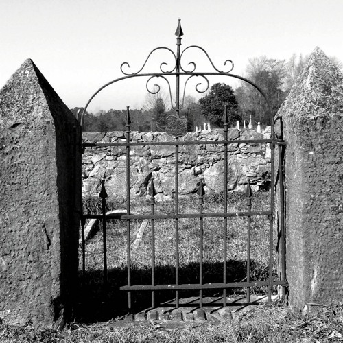 Gate Study #9