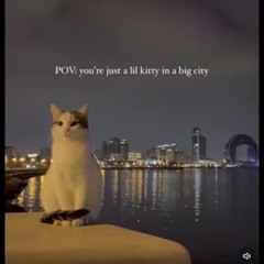 Eminem - Lose Yourself (1950's Motown Soul AI Cover) [BEST VERSION].mp3