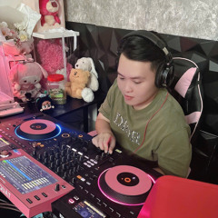 NST 2025- THẬP CẨM XÀ BẦN VOL5 ( PHUC ANH MIX ).mp3