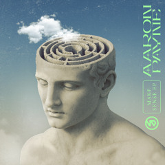 Aaron Payne - Make Sense