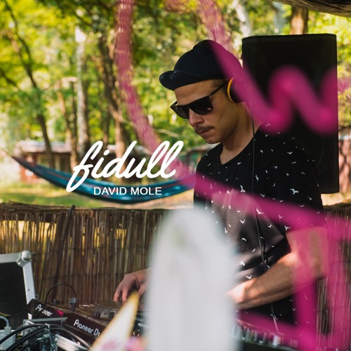 Fidull Podcast 001 - Mole