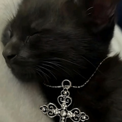 Dopamina / Baby chris Ft iReload Prod. Manu Productions