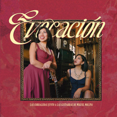 Huasita regalona