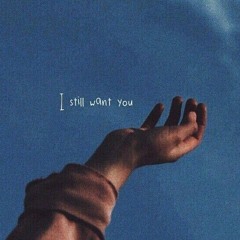You are an Idiot! Meme